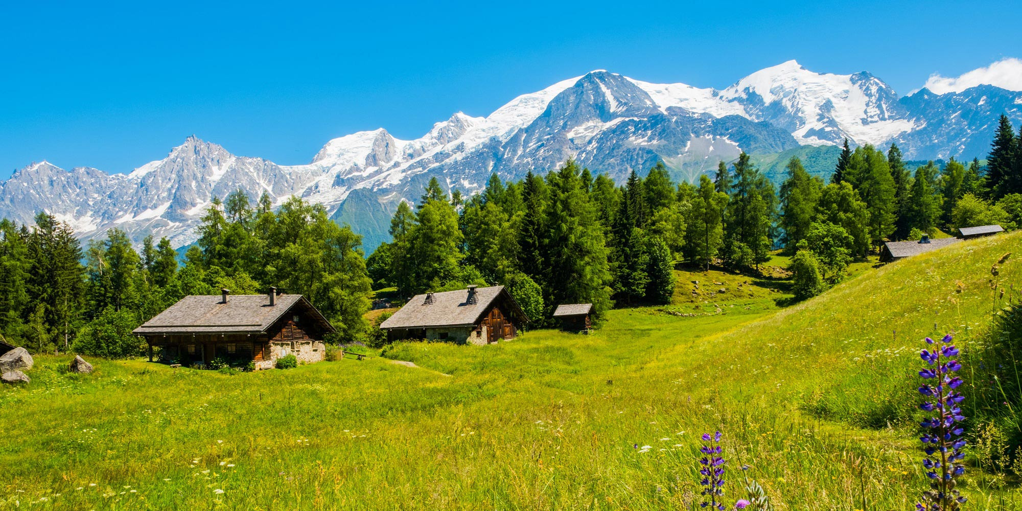 Votre été à la montagne