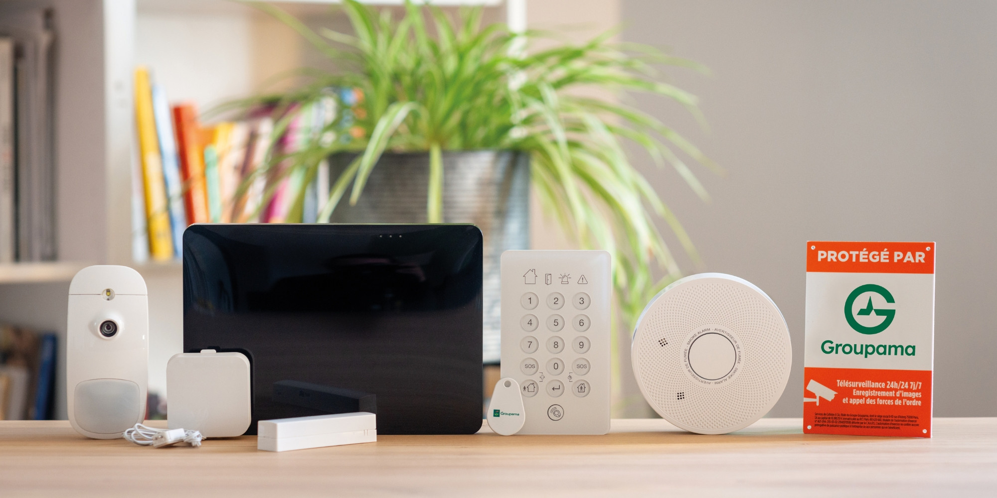 La télésurveillance