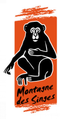 La montagne des Singes